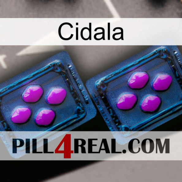 Cidala 03.jpg